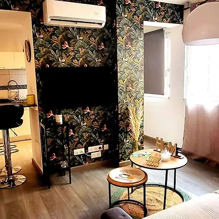 Appartement Magnifique T2 Ajaccio (Corsica)