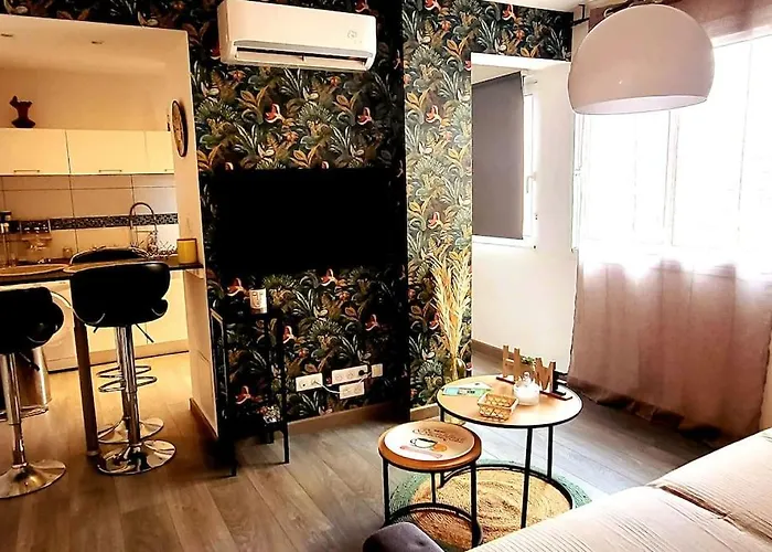 Apartment Magnifique T2 Ajaccio (Corsica)